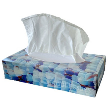 Facial Tissues Exclusiva 2lgs